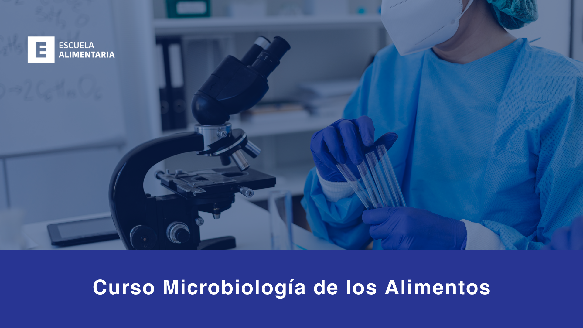 Microbiolog&iacute;a de los alimentos