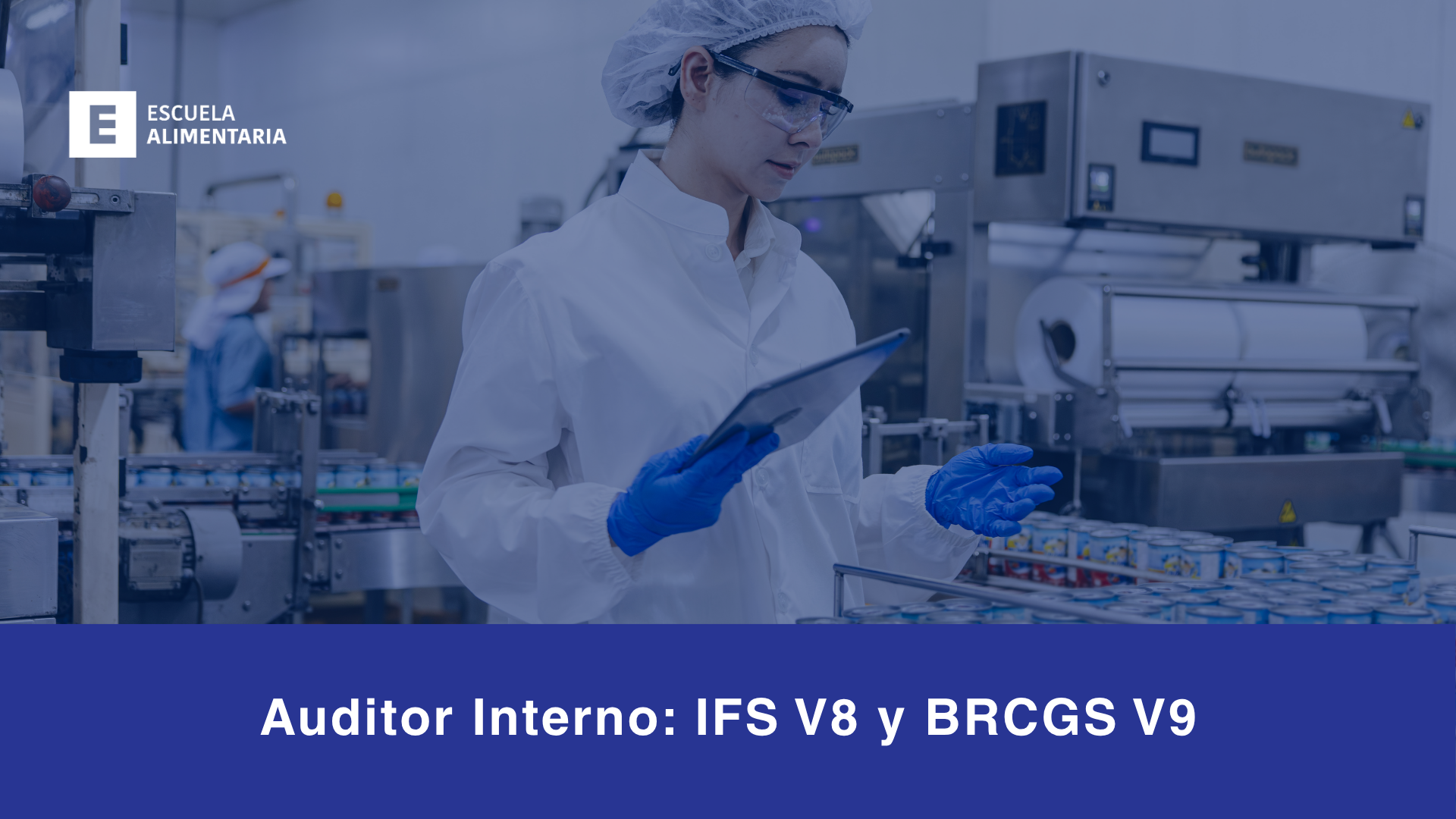 Actualizaci&oacute;n Auditor Interno IFS 8-BRCGS 9