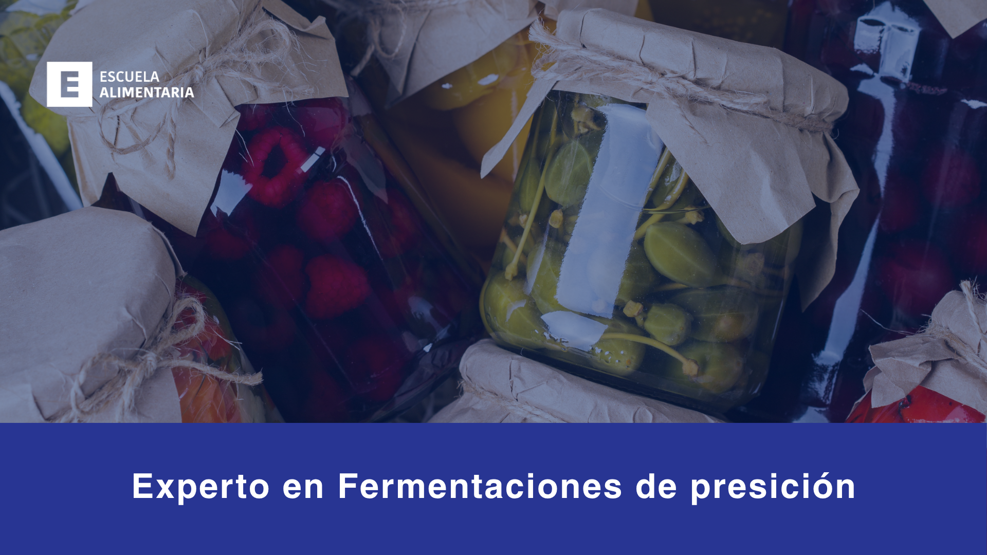 Fermentaciones de precisi&oacute;n