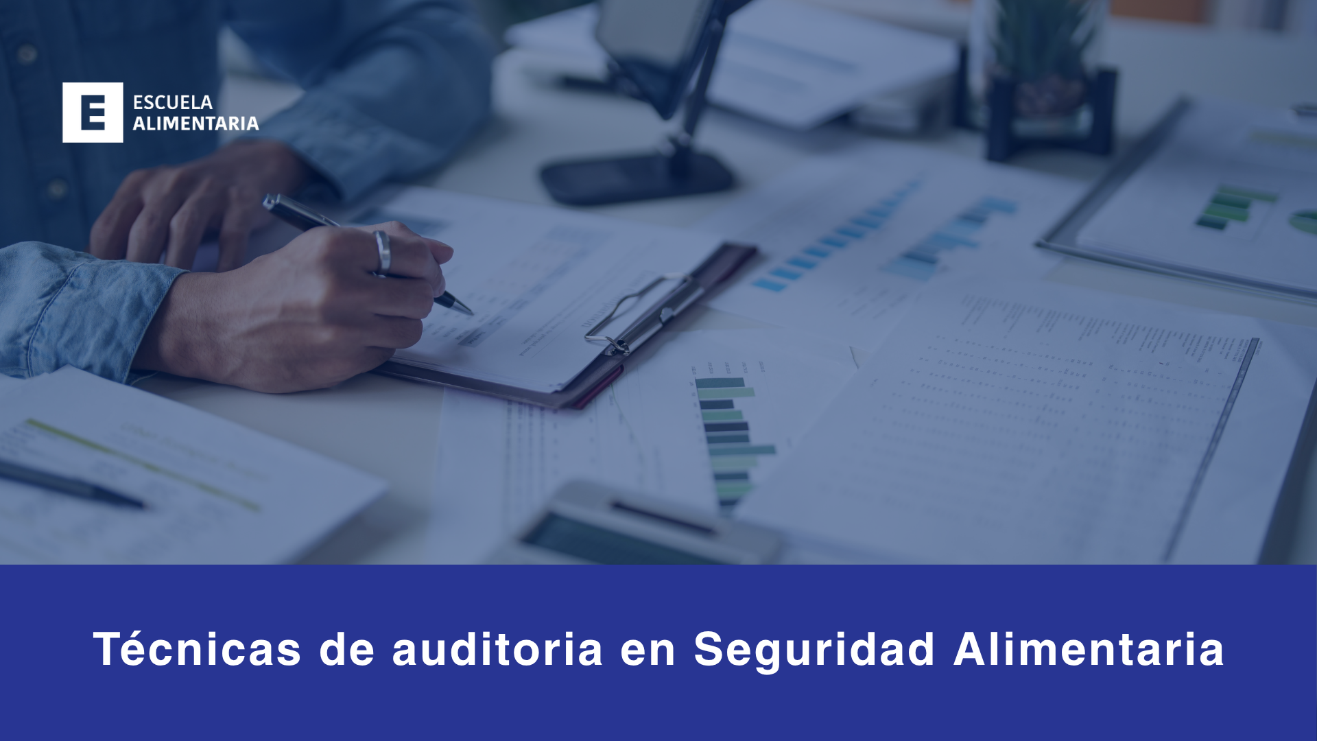 T&eacute;cnicas Avanzadas de Auditor&iacute;a
