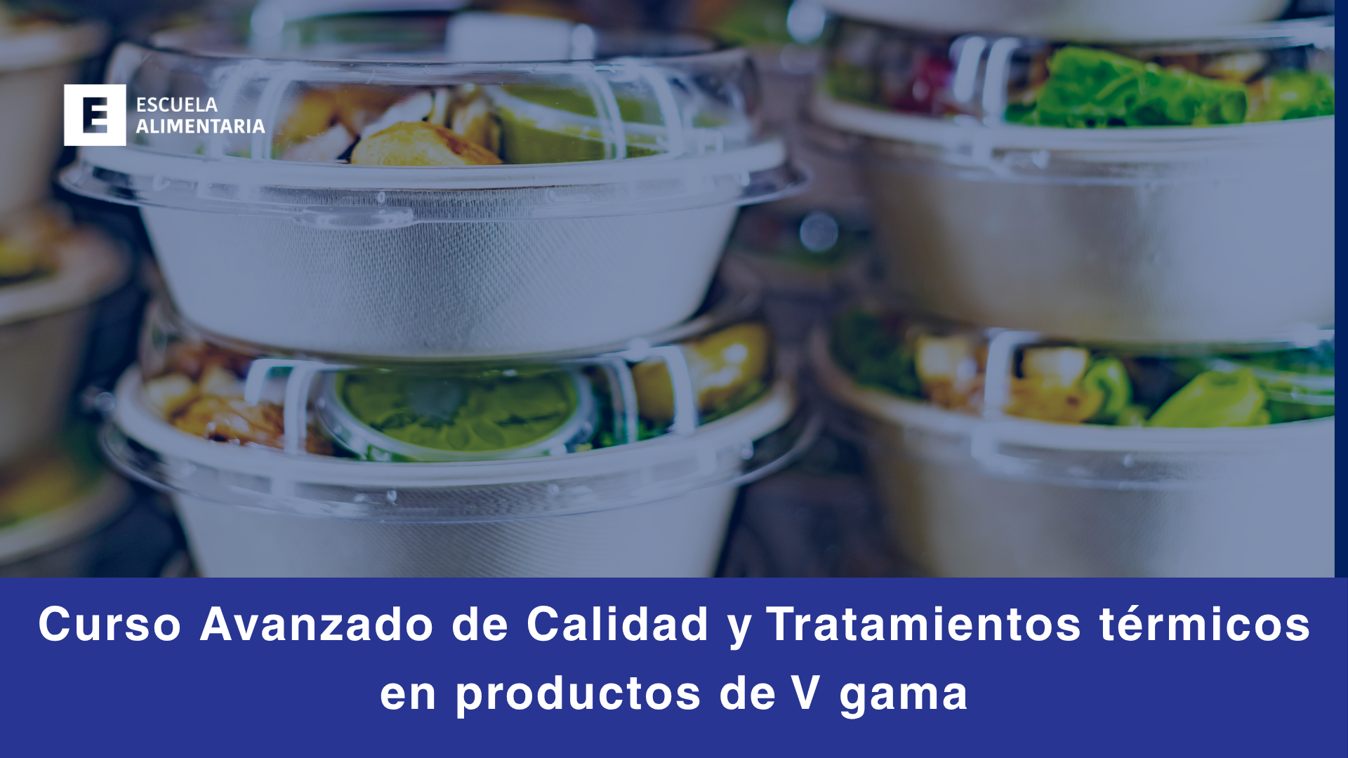 Tratamientos T&eacute;rmicos V Gama